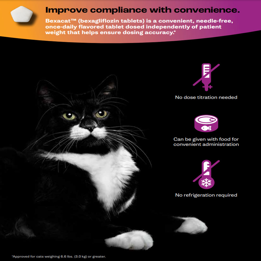 Bexacat (Bexagliflozin) Flavored Tablets for Cats, 15mg, 30 Tablets