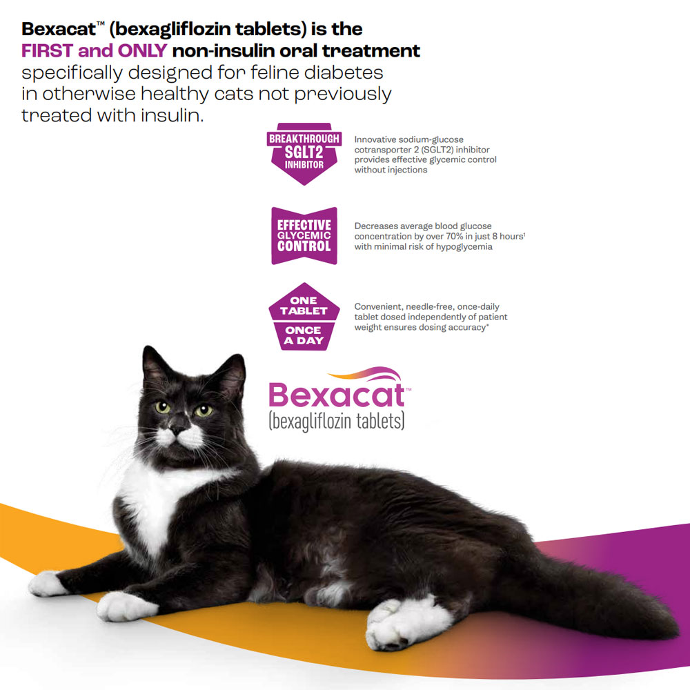 Bexacat (Bexagliflozin) Flavored Tablets for Cats, 15mg, 90 Tablets
