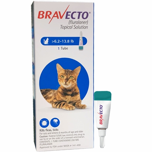 Bravecto Topical for Cats 6.2 - 13.8 lbs | EntirelyPets Rx