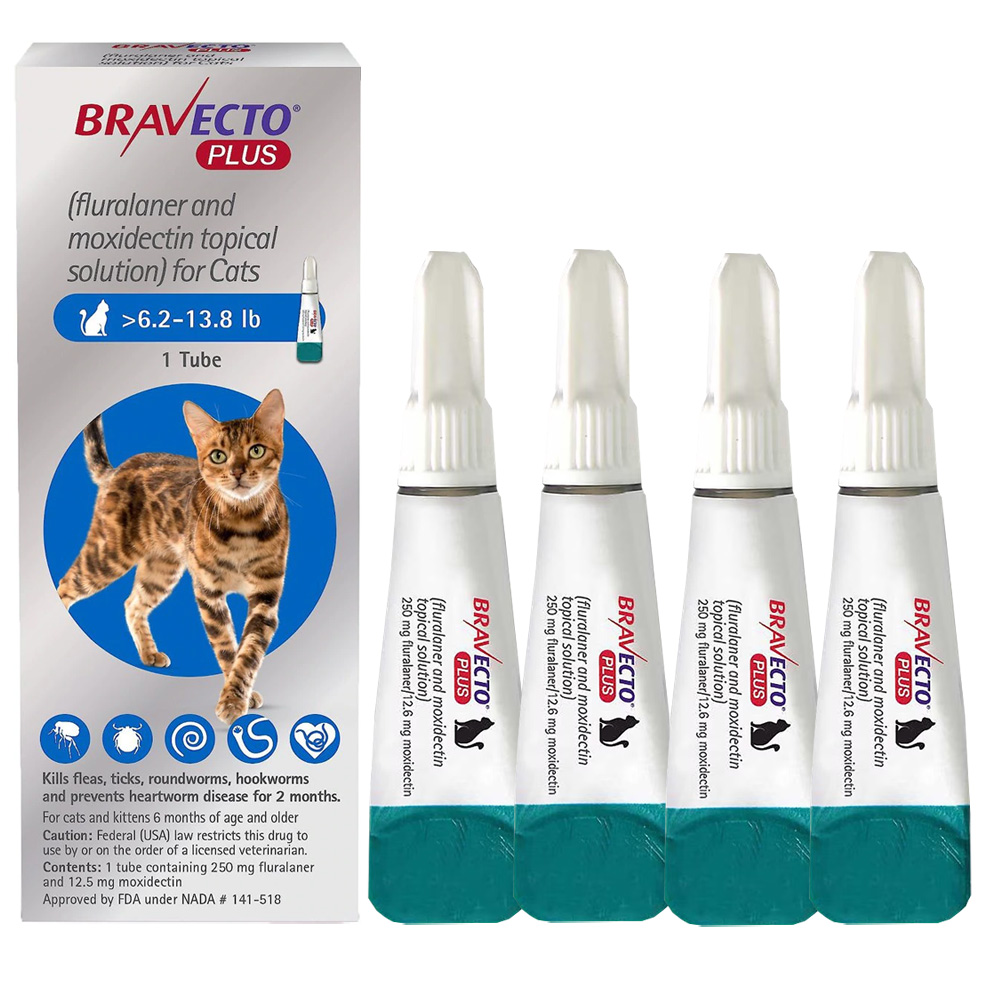 Picture of Bravecto Plus Topical Solution for Cats - fluralaner|moxidectin - 6.3 ...
