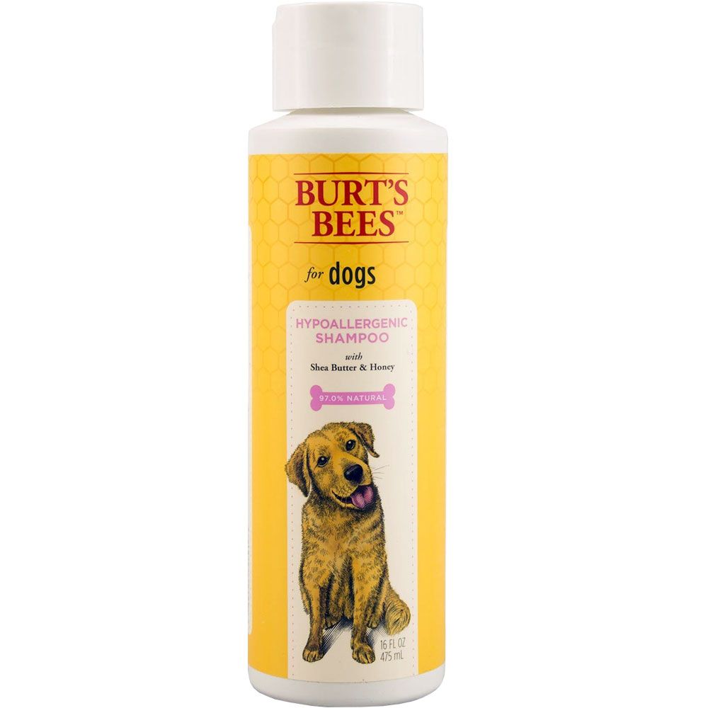 Burt's Bees Hypoallergenic Shampoo for Dogs (16 fl oz) On Sale