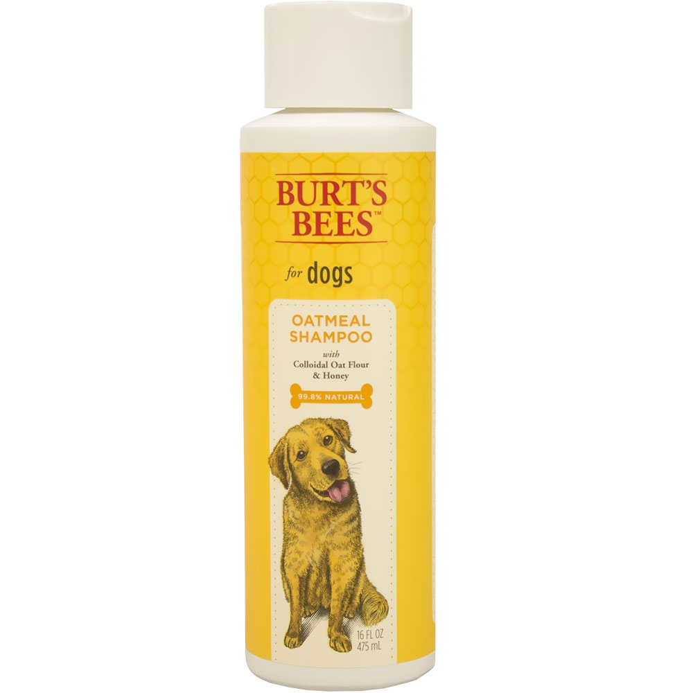Burt's Bees Oatmeal Shampoo for Dogs (16 fl oz) On Sale EntirelyPets Rx