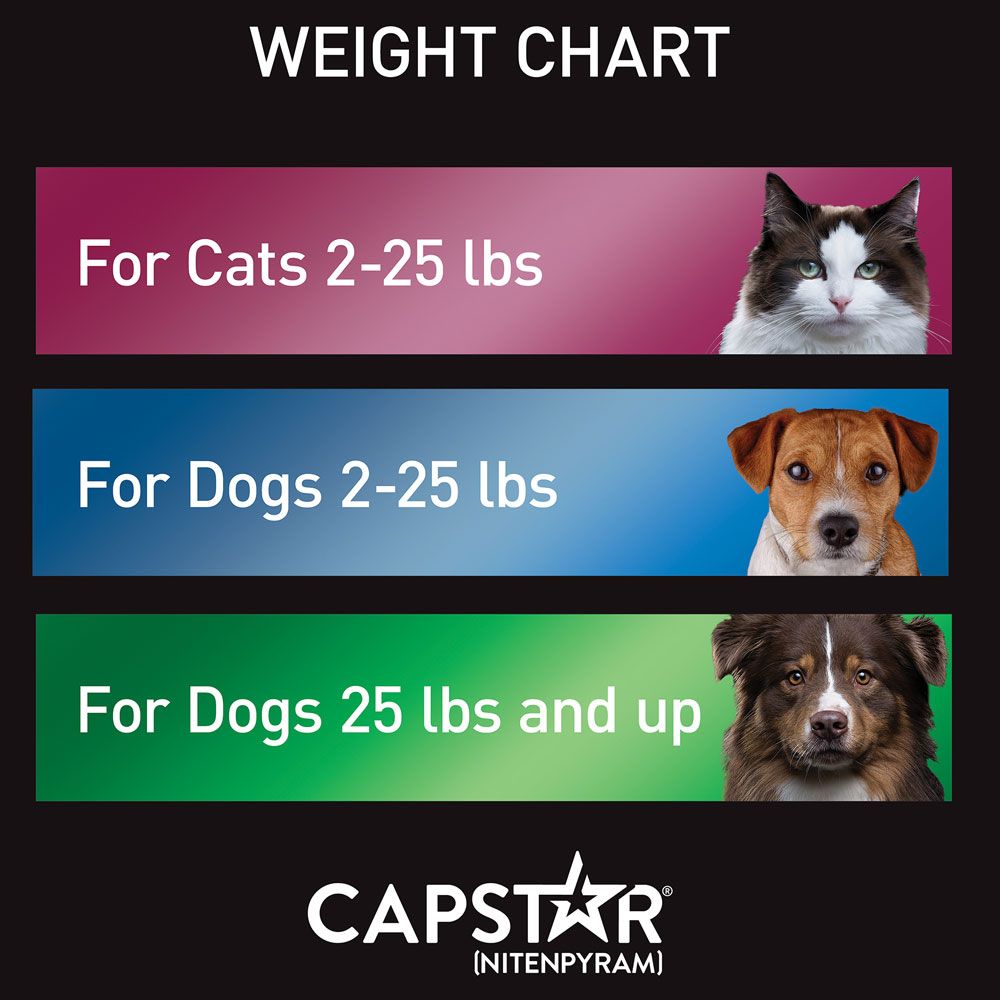 Capstar Flea Control for Dogs Over 25 lbs (6 Tablets) On Sale