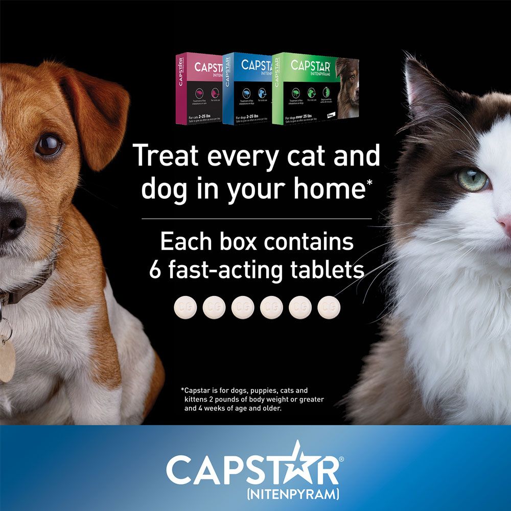Capstar Flea Control for Dogs Over 25 lbs (6 Tablets) On Sale