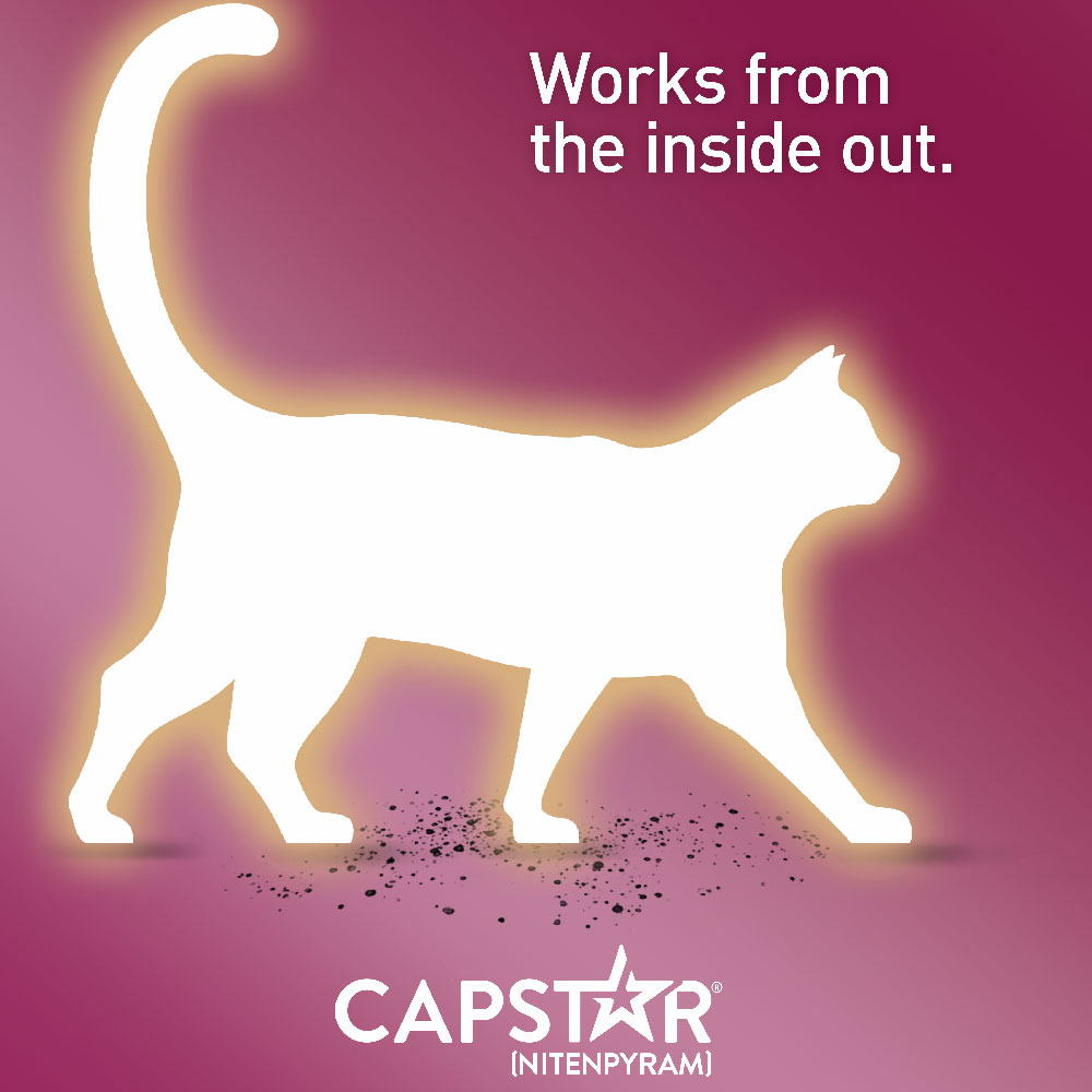 Capstar Flea Control Cats 225 lbs (6 tablets) On Sale EntirelyPets Rx