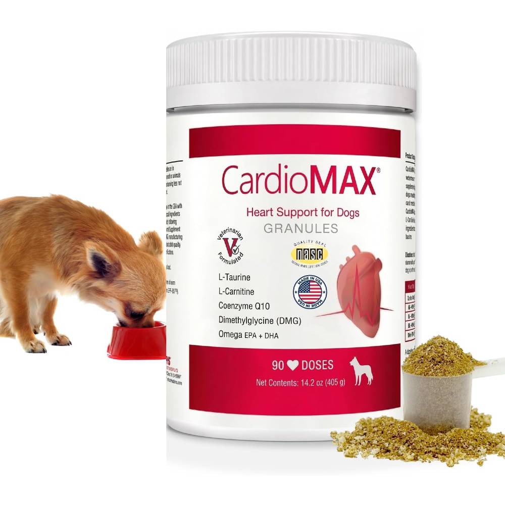 where to buy l carnitine for dogs Dog L-Carnitine Supplement 60ct Supports Energy Vitality & Healthy Weight