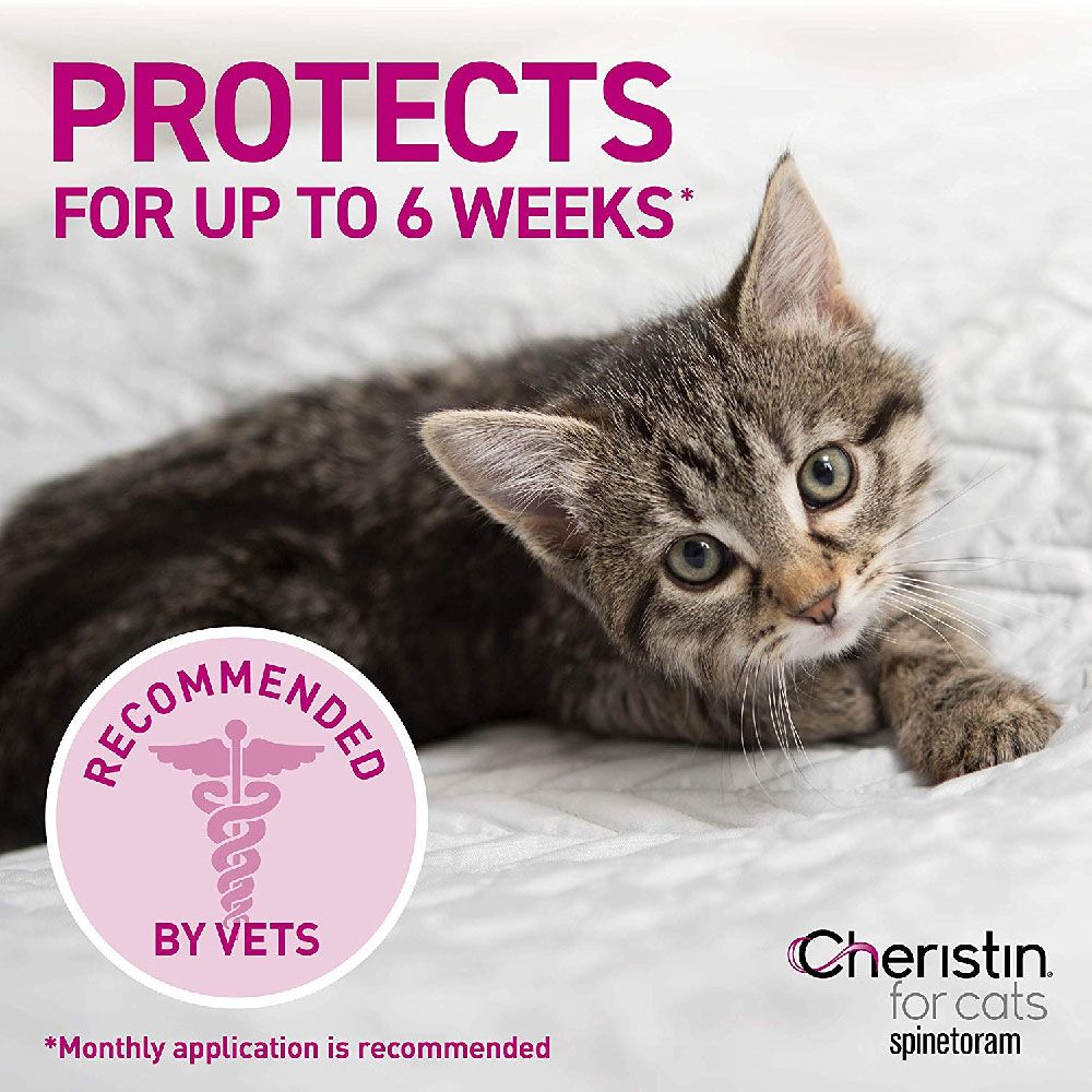 Cheristin for Cats Over 1.8 lbs Free Shipping EntirelyPets Rx