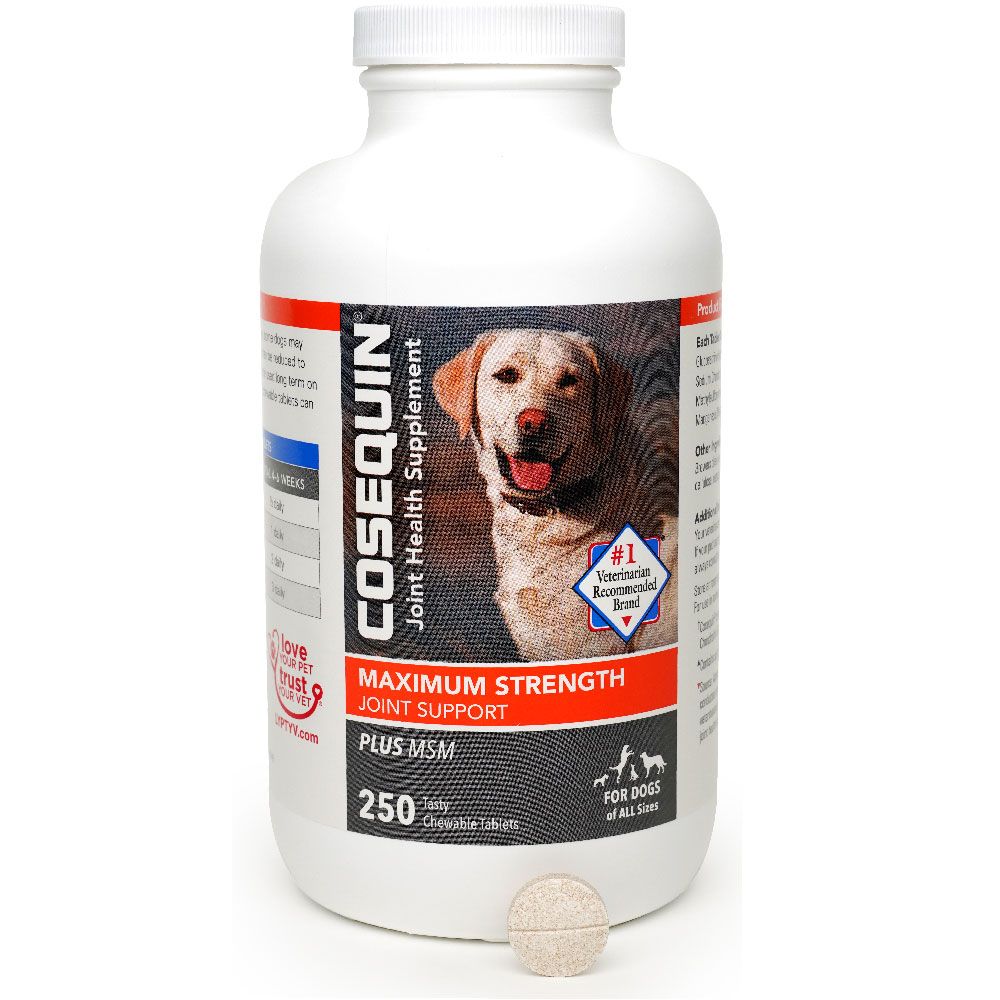 Nutramax Cosequin Maximum Strength Joint Health Supplement for Dogs