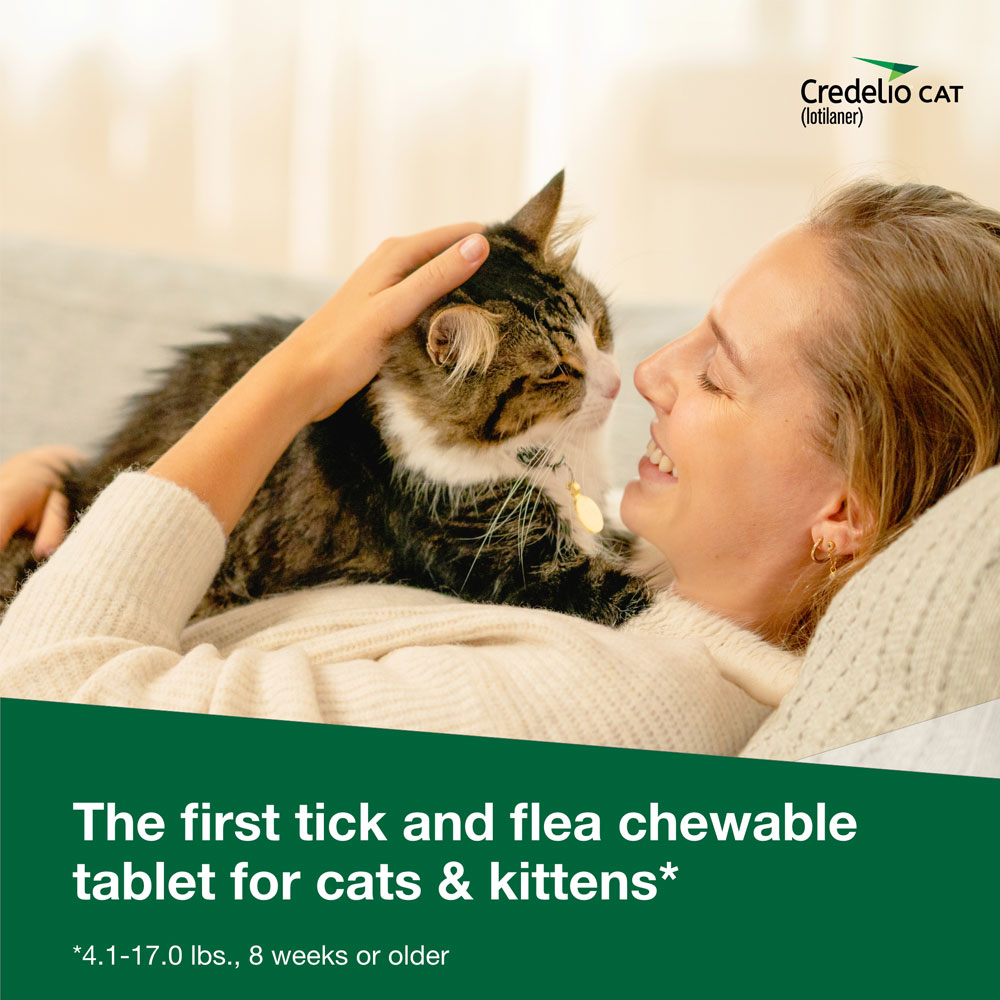 Image showcasing Credelio for Cats and Kittens 2-4 lbs.|Tick & Flea Infestation ...