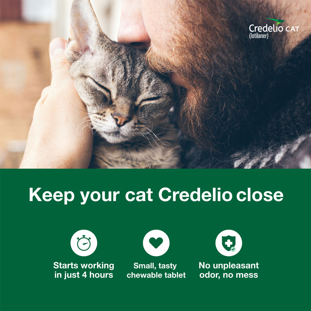 Credelio for Cats 4.117 lbs.Tick & Flea Infestation Prevention and