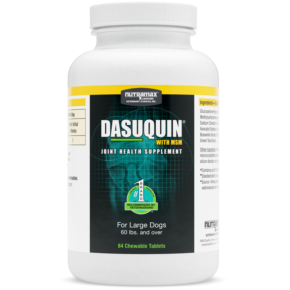 Nutramax Dasuquin with MSM Joint Health Supplement for Large Dogs