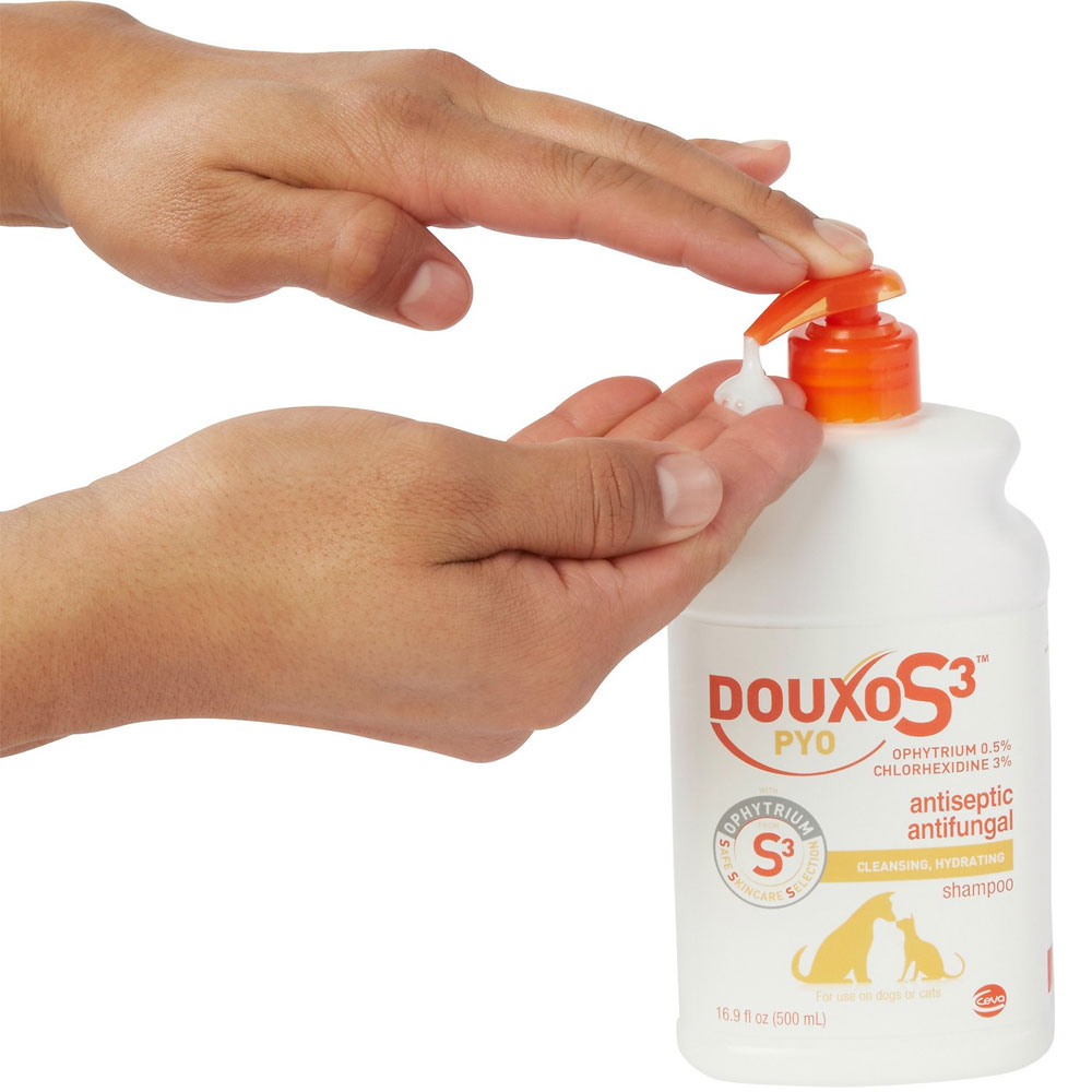 Douxo S3 PYO Antiseptic Antifungal Dog & Cat Shampoo (16.9 oz) On