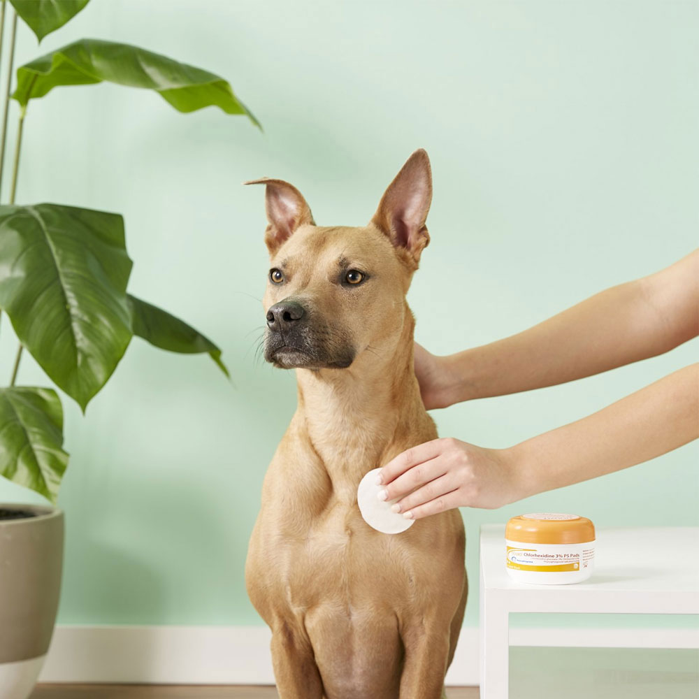 DOUXO S3 PYO Wipes (30 count) | On Sale | EntirelyPets Rx