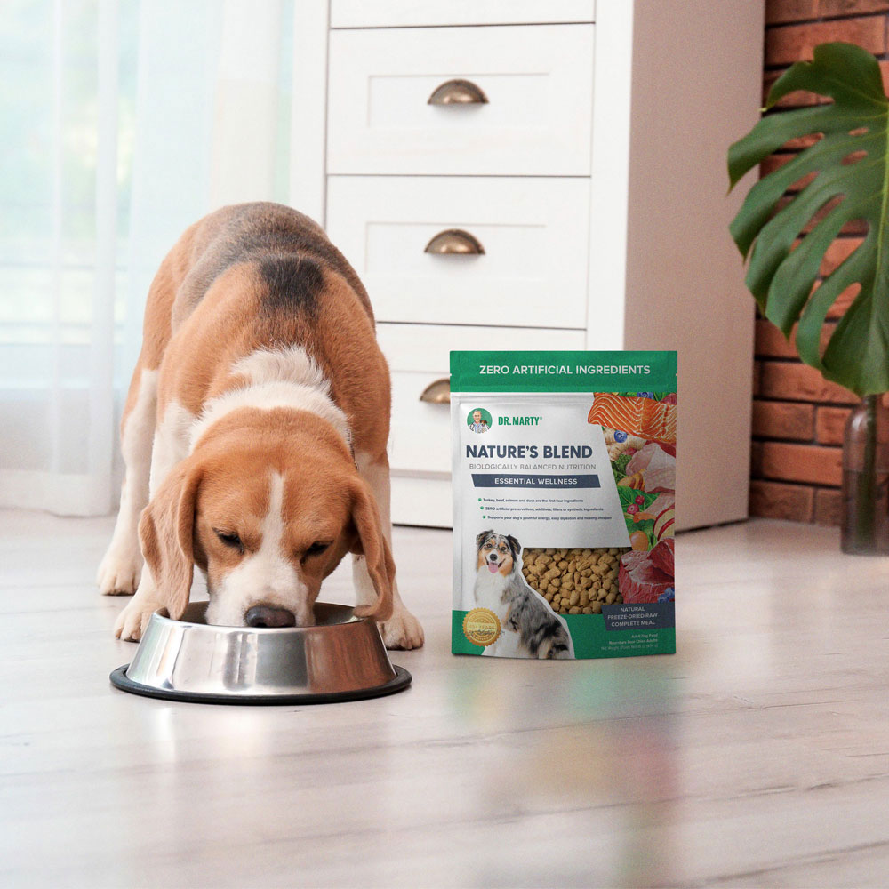 Dr. Marty Nature's Blend Freeze Dried Raw Dog Food for Senior Dogs