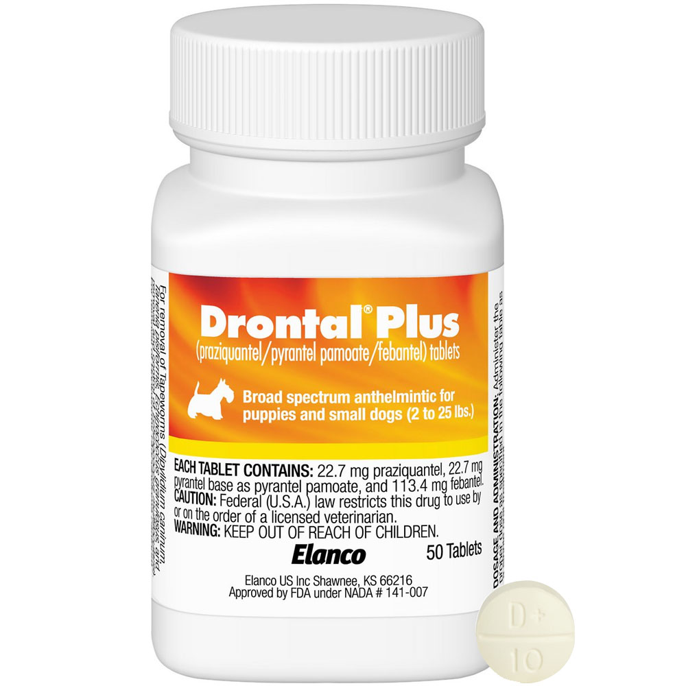 Drontal Plus for Small Dogs (1 Tablet) Free Shipping EP Rx