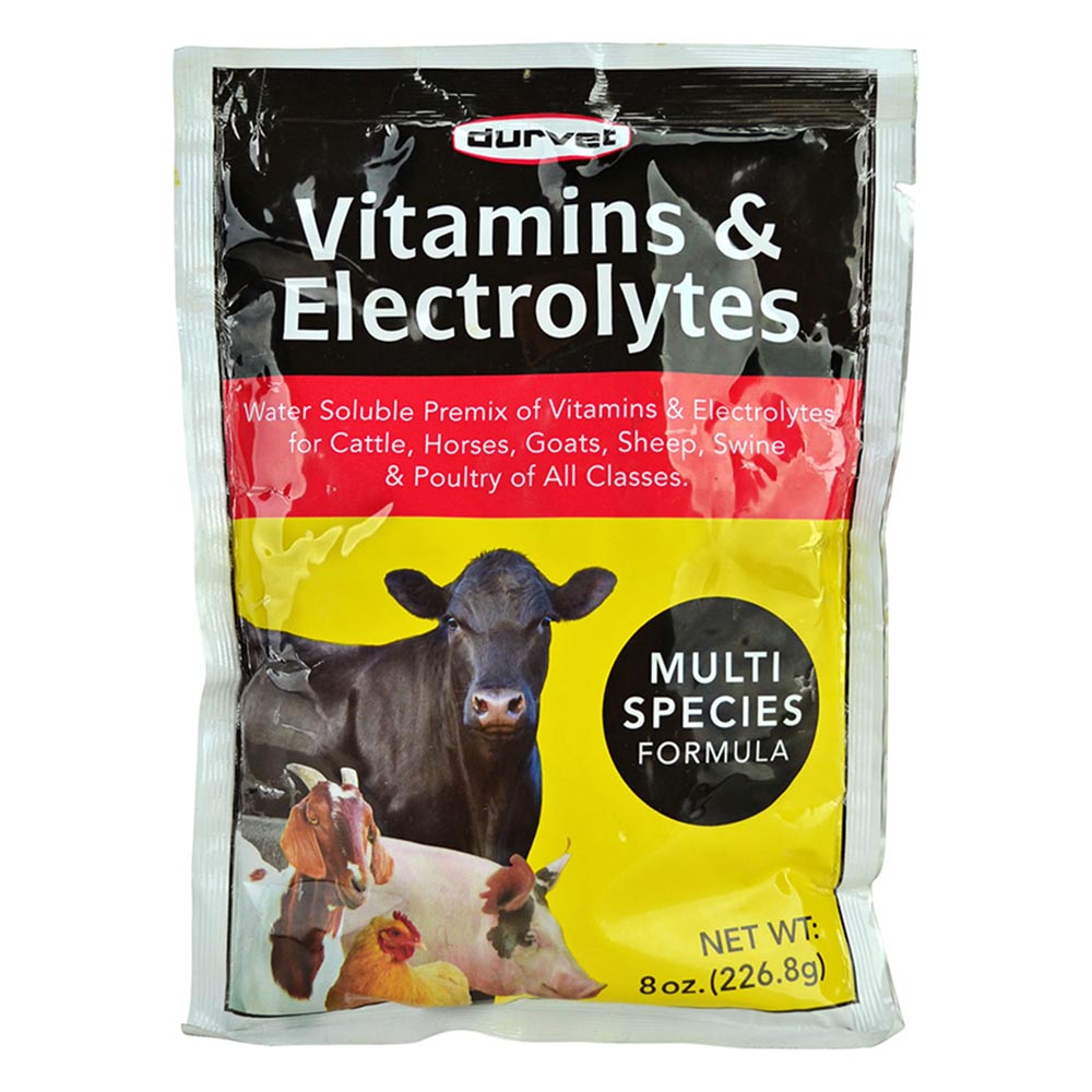 Durvet Vitamins & Electrolytes for Multi Species (8 oz) [Supplement