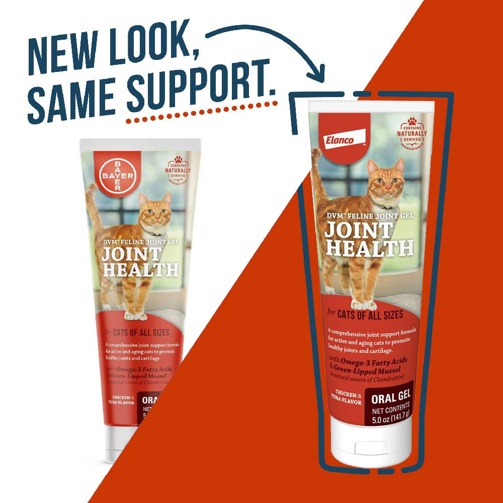 DVM Feline Joint Gel (5 oz.) On Sale EntirelyPets Rx
