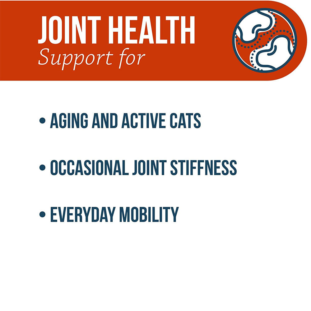 DVM Feline Joint Gel (5 oz.) On Sale EntirelyPets Rx