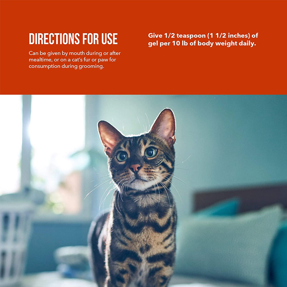 DVM Feline Joint Gel (5 oz.) On Sale EntirelyPets Rx