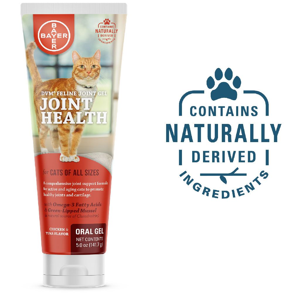 DVM Feline Joint Gel (5 oz.) On Sale EntirelyPets Rx
