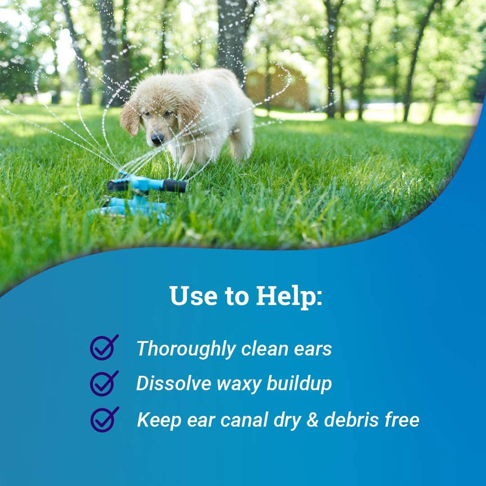 DVM OtiRinse Cleansing/Drying Ear solution (8 oz) On Sale