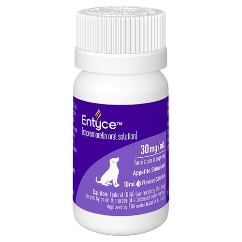 Entyce Appetite Stimulant for Dogs | FDA Approved | EntirelyPets Rx