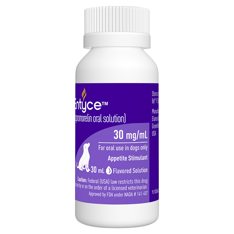 Entyce for Dogs 30 mg/ml (30 ml) Free Shipping EP Rx
