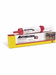 EQ Paste, 0.85 oz Syringe