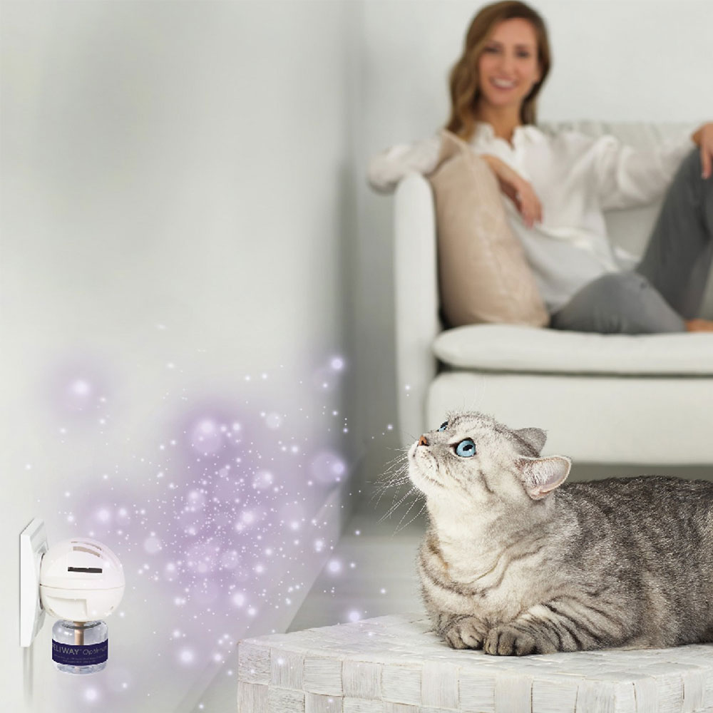 FELIWAY Optimum Enhanced Calming Pheromone Cat Diffuser Kit On Sale