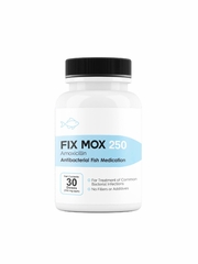 Fix Mox 250 (Amoxicillin) Capsules