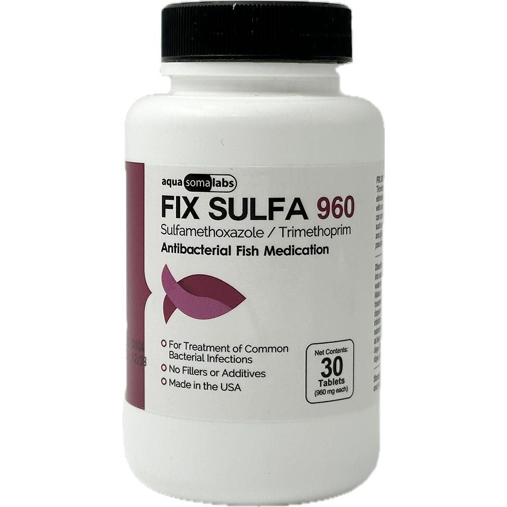 Fixsam Tablet Fix Sulfa 960 (Sulfamethoxazole/Trimethoprim) 960mg - 30 Capsules | On ...