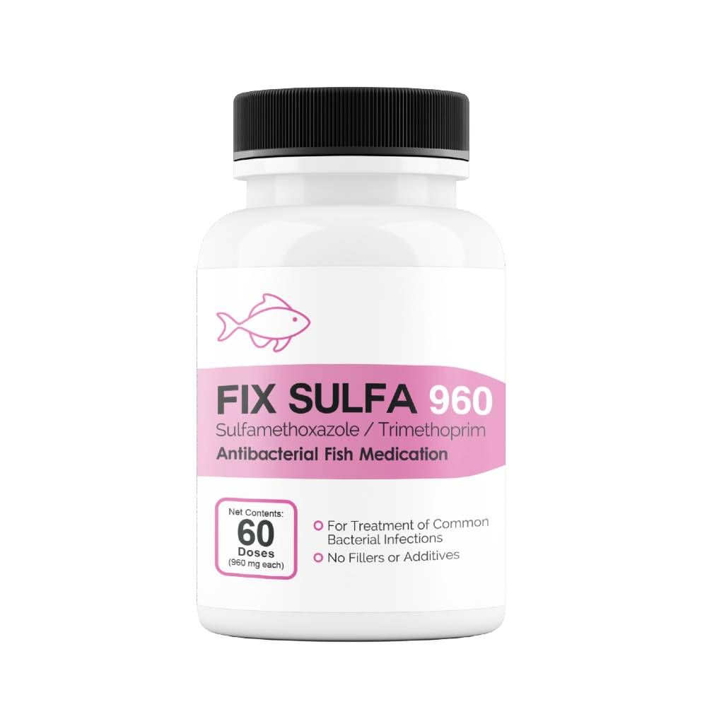 Fixsam Tablet Fix Sulfa 960 (Sulfamethoxazole/Trimethoprim) 960mg - 60 Tablets | On ...