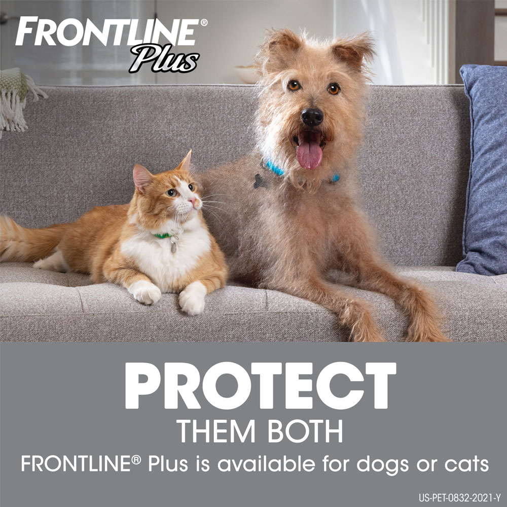 thumbnail interactive-video image 1 of Direct Protect Plus Flea Treatment For Dogs 45-88 Lbs - 2-Pack (6 Month Supply) 1 of 3