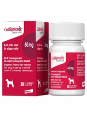 Galliprant for Dogs - grapiprant - 60-mg (30 flavored tablets) - [Anti-Inflammatory]