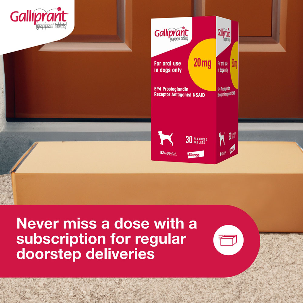 Galliprant Tablets for Dogs 20 mg (30 Count) On Sale EP Rx