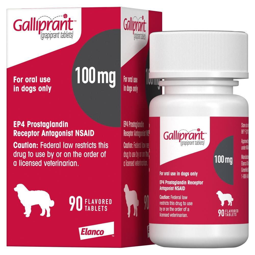 Galliprant Tablets for Dogs 100 mg (90 Count) | On Sale | EP Rx