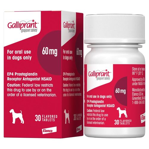 Galliprant Tablets for Dogs 60 mg (30 Count) On Sale EP Rx - Main Image