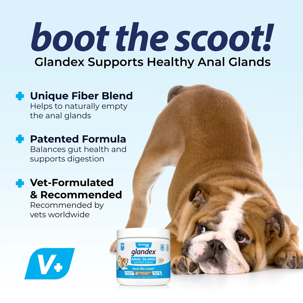 ScootStop Dog Anal Gland Chews with Pumpkin & Fiber – Stool Firming Digestive Support, Constipation Relief & Anal Gland Health Supplement – 120 Soft Chews