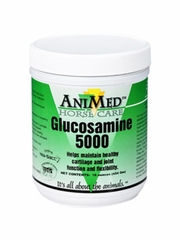 Glucosamine 5000 for Horses, 16oz