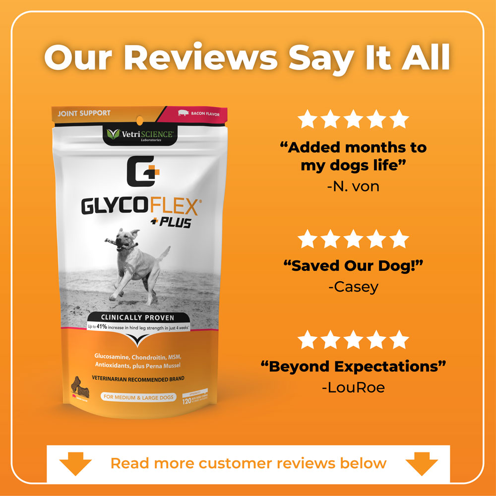 Curated visual reference: Joint Support For Big Dogs Reference: Glycoflex Plus Joint Support For Medium Large Dogs