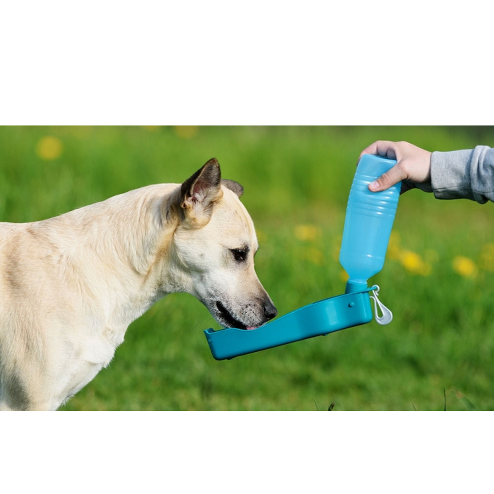 Cat Water Dispenser Ethical Pet Handi-Drink 17-Ounce Regular Pet