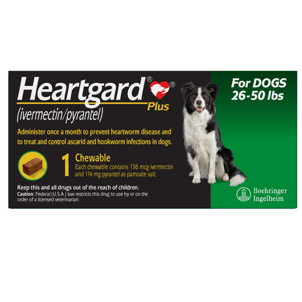 Do You Need To Give Your Dog Heartworm Medicine