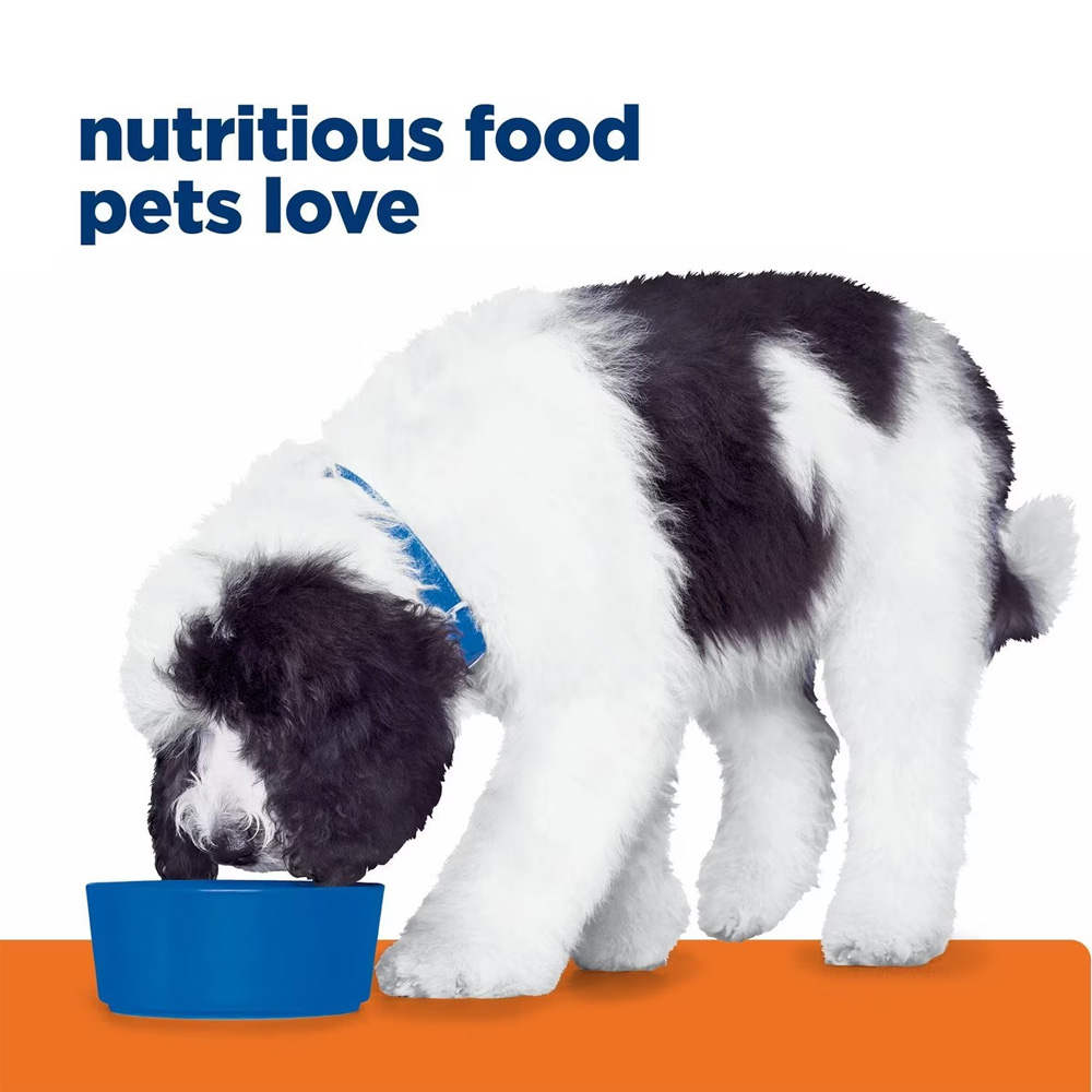 Hill's Prescription Diet c/d Multicare Urinary Care Chicken Flavor Wet Dog Food, 13oz case of