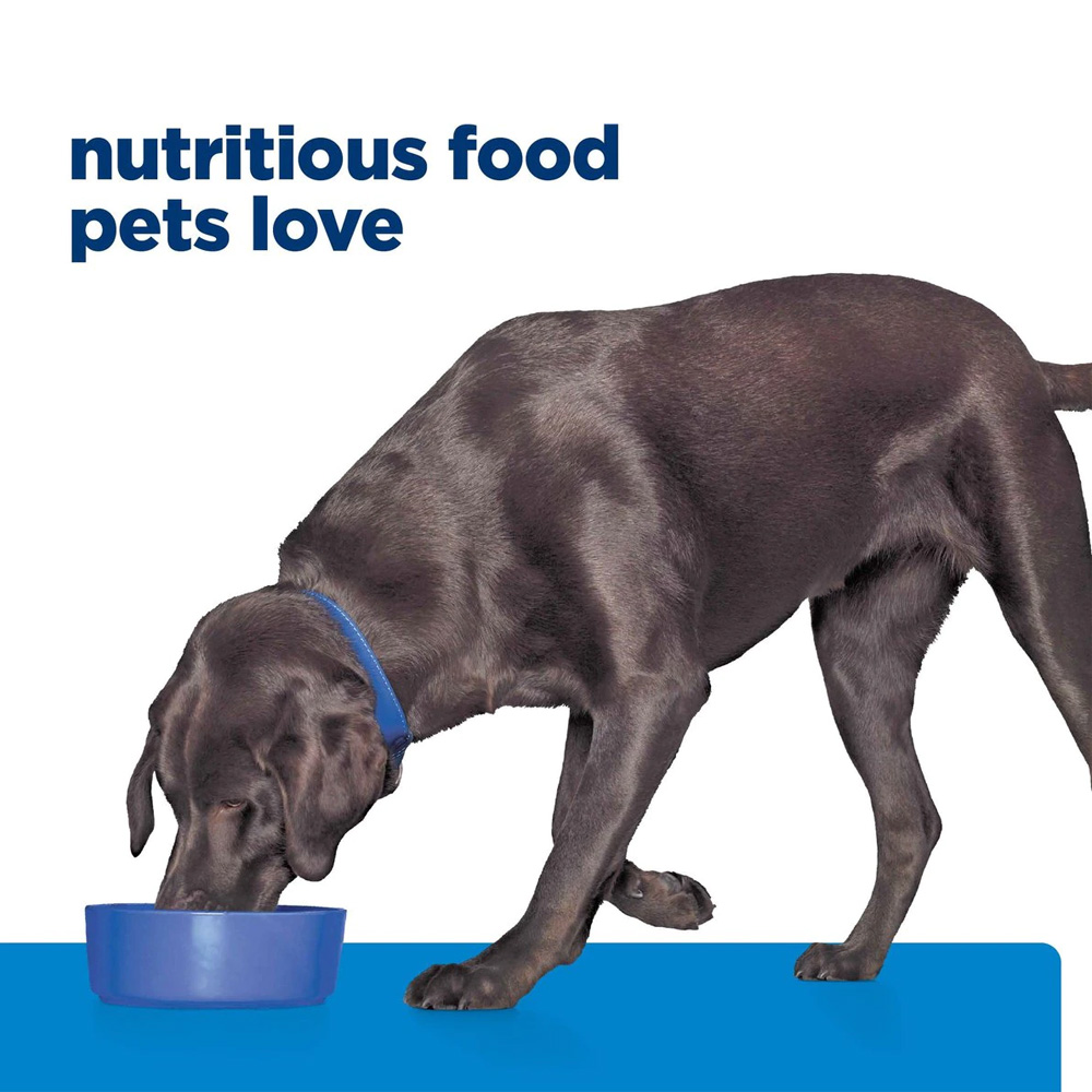 Hill's Prescription Diet d/d Skin Food Sensitivities Potato & Venison Recipe Dry Dog Food, 17.6