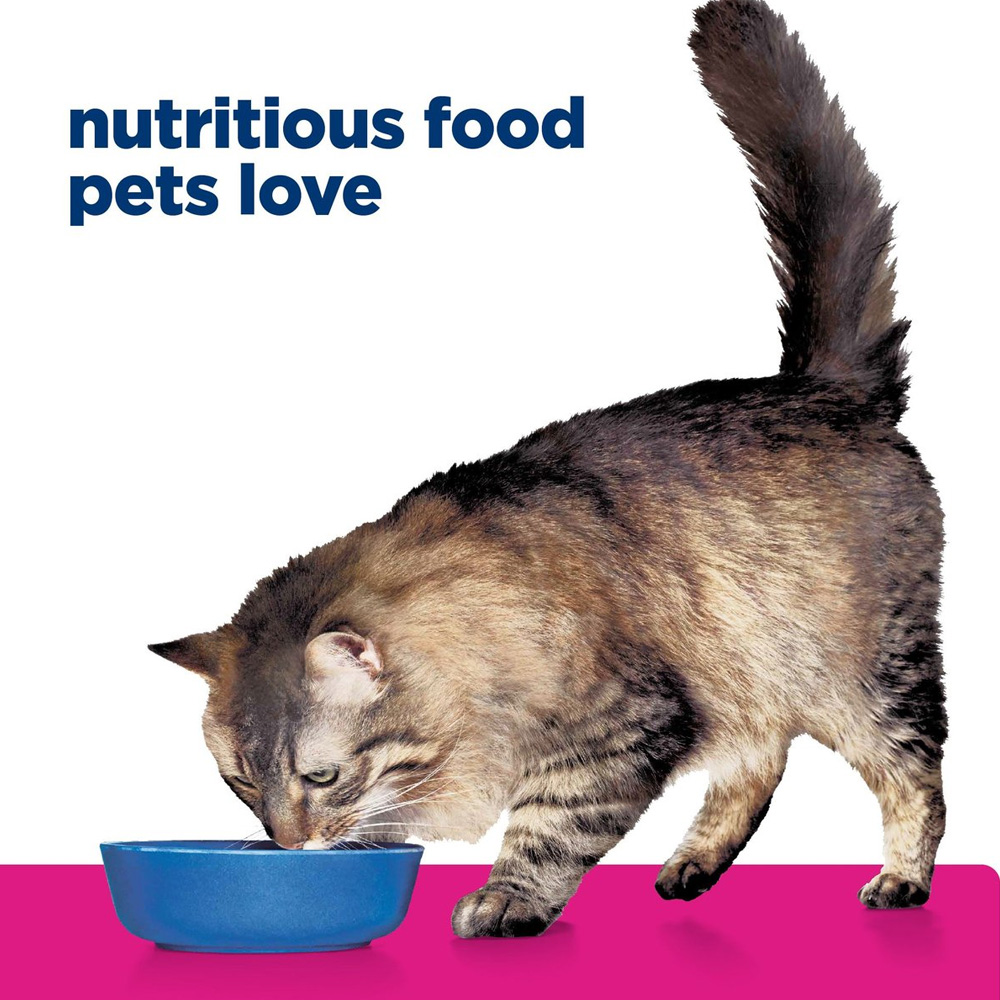 Hill's Prescription Diet Gastrointestinal Biome with Chicken Dry Cat