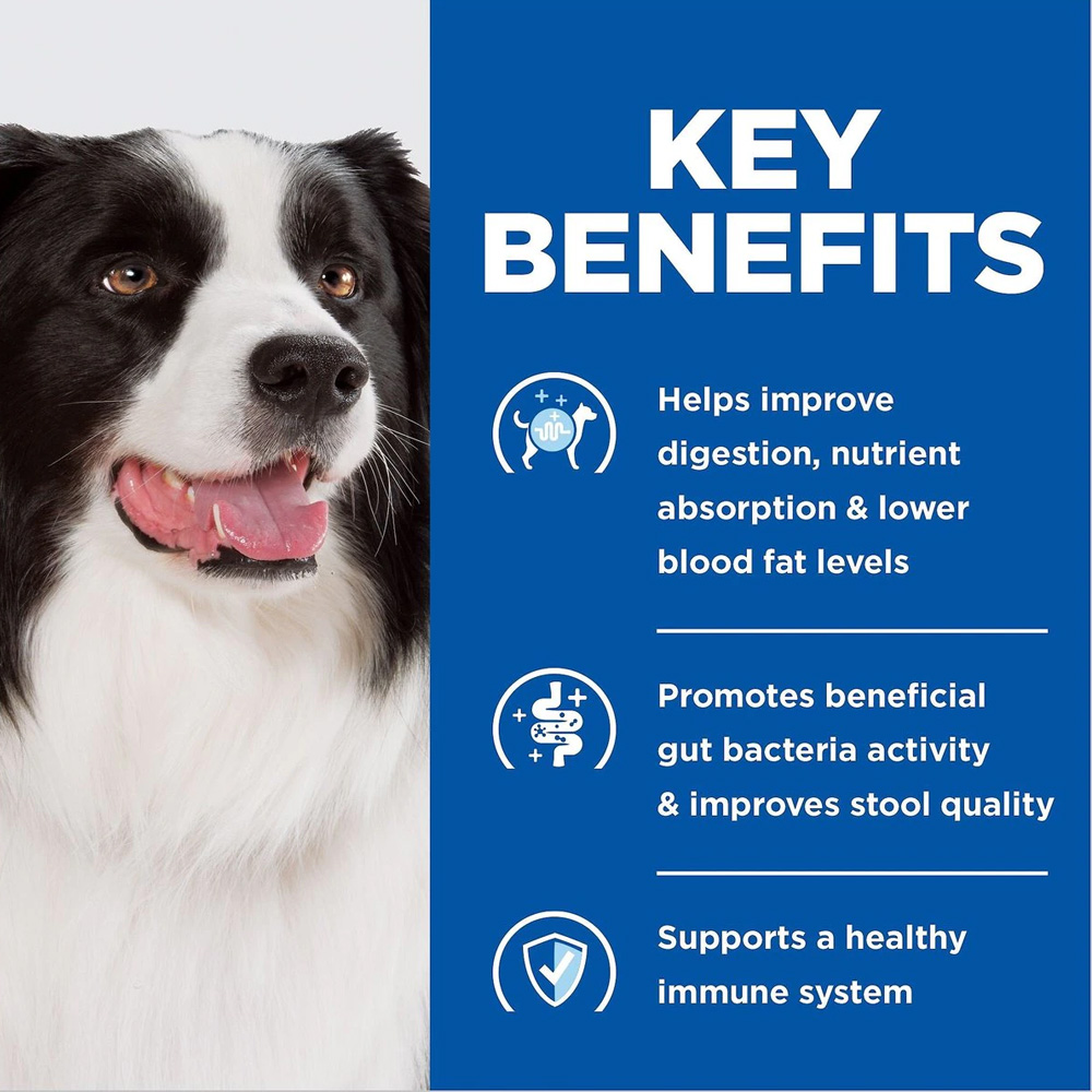 Hill's Prescription Diet i/d Digestive Care Low Fat Rice, Vegetable & Chicken Stew Wet Dog Food