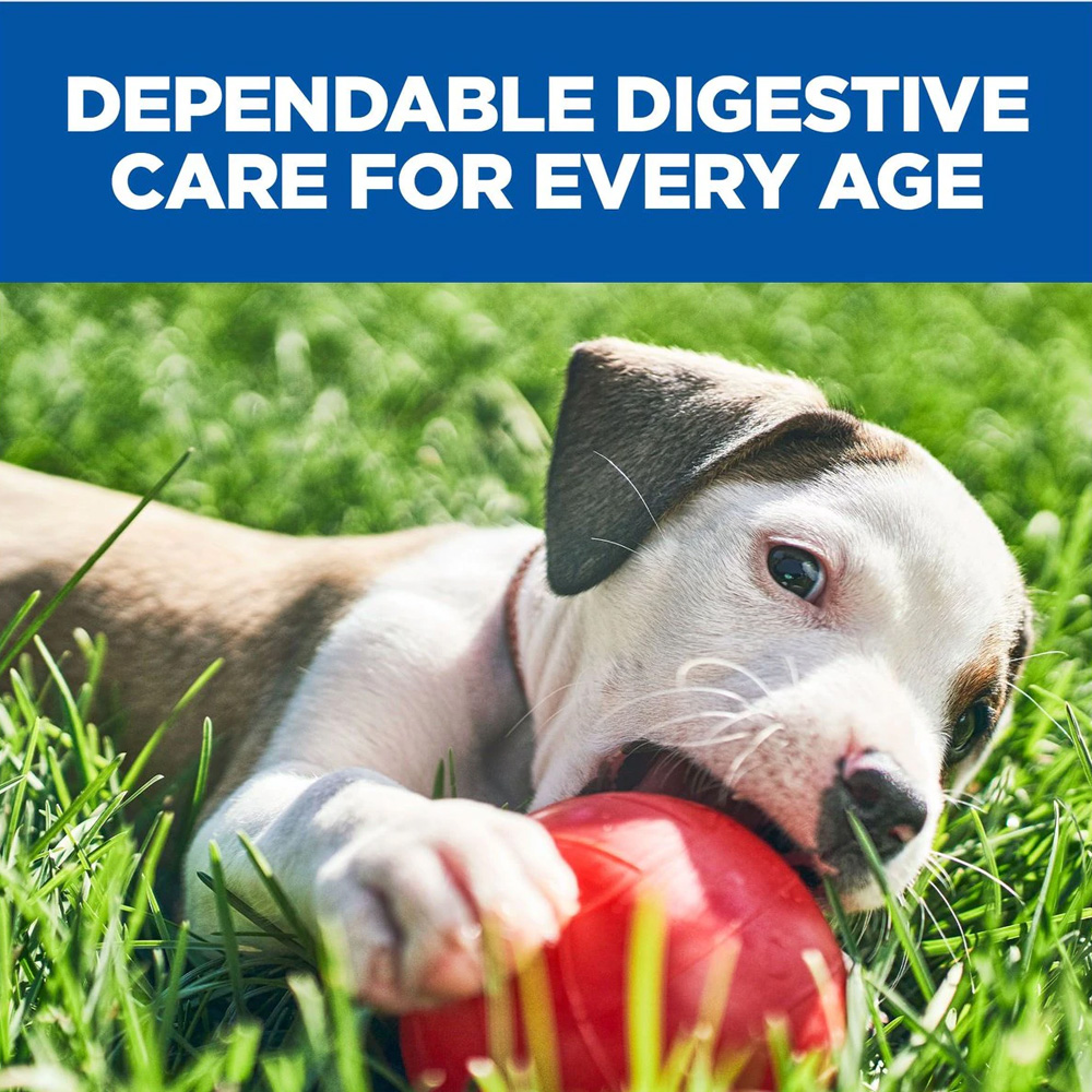 Hill's Prescription Diet i/d Digestive Care with Turkey Wet Dog Food