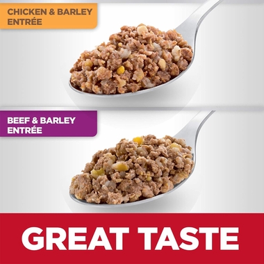 Hill's Science Diet Senior 7+ Wet Dog Food - Beef & Barley Entrée, 13 Oz Cans (Pack Of 12)