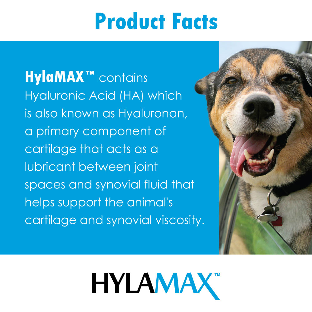 HylaMAX Hyaluronic Acid for Dogs, Cats & Equine (32 oz) On Sale