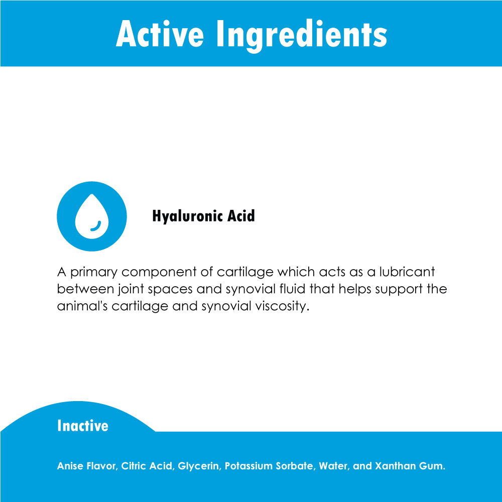 HylaMAX Hyaluronic Acid for Dogs, Cats & Equine (32 oz) On Sale